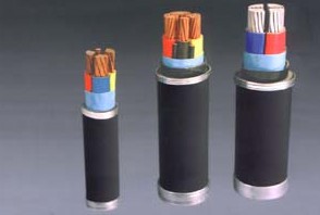 0.6/1KV聚氯乙烯絕緣電力電纜