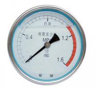 YN-100軸向無邊耐震壓力表